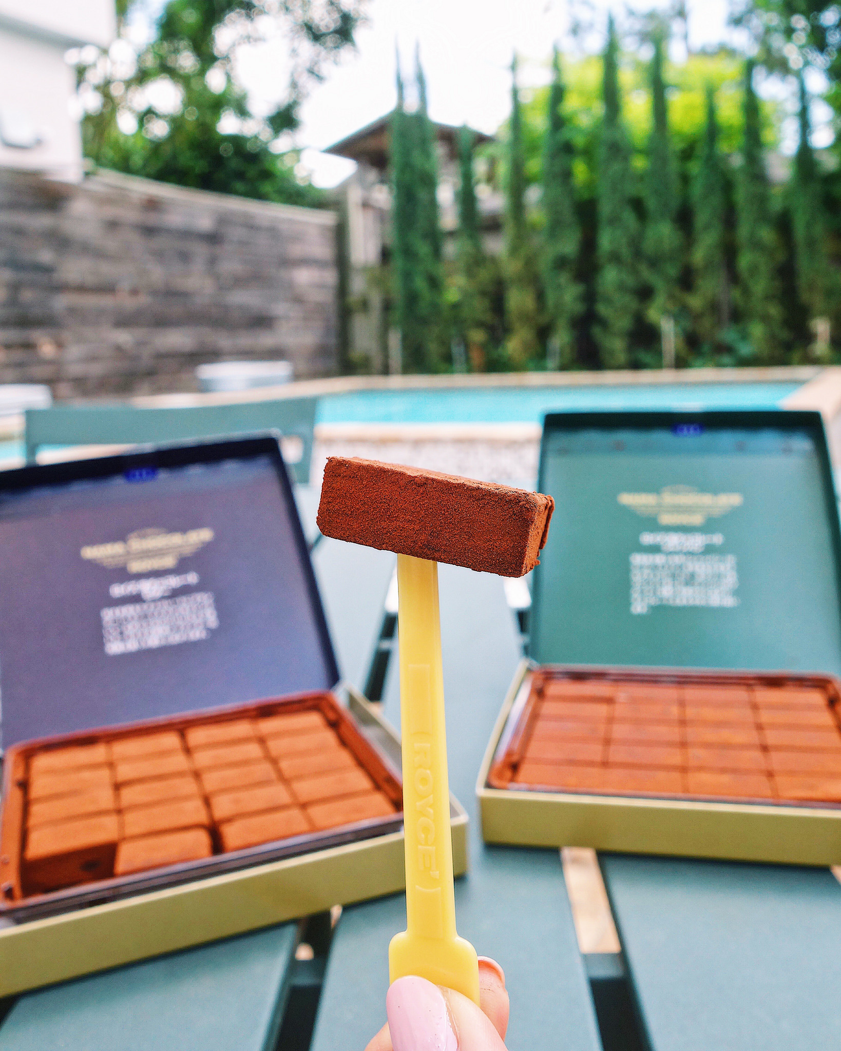 Royce Chocolates: Bitter (Hennessy VSOP with subtle bitter cacao) and Champagne (Pierre Mignon Champagne)