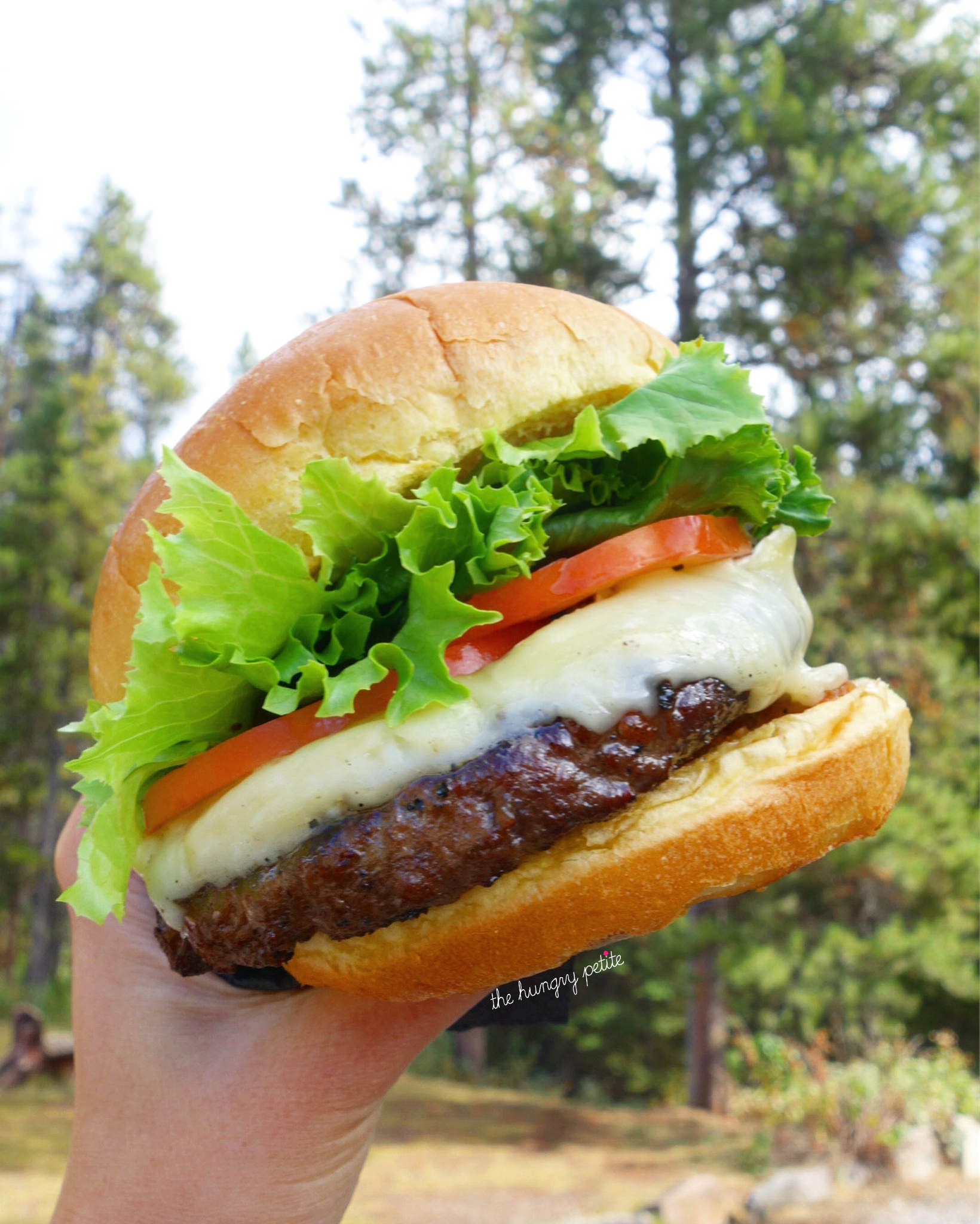 Bison & Brie burger at Johnston Canyon