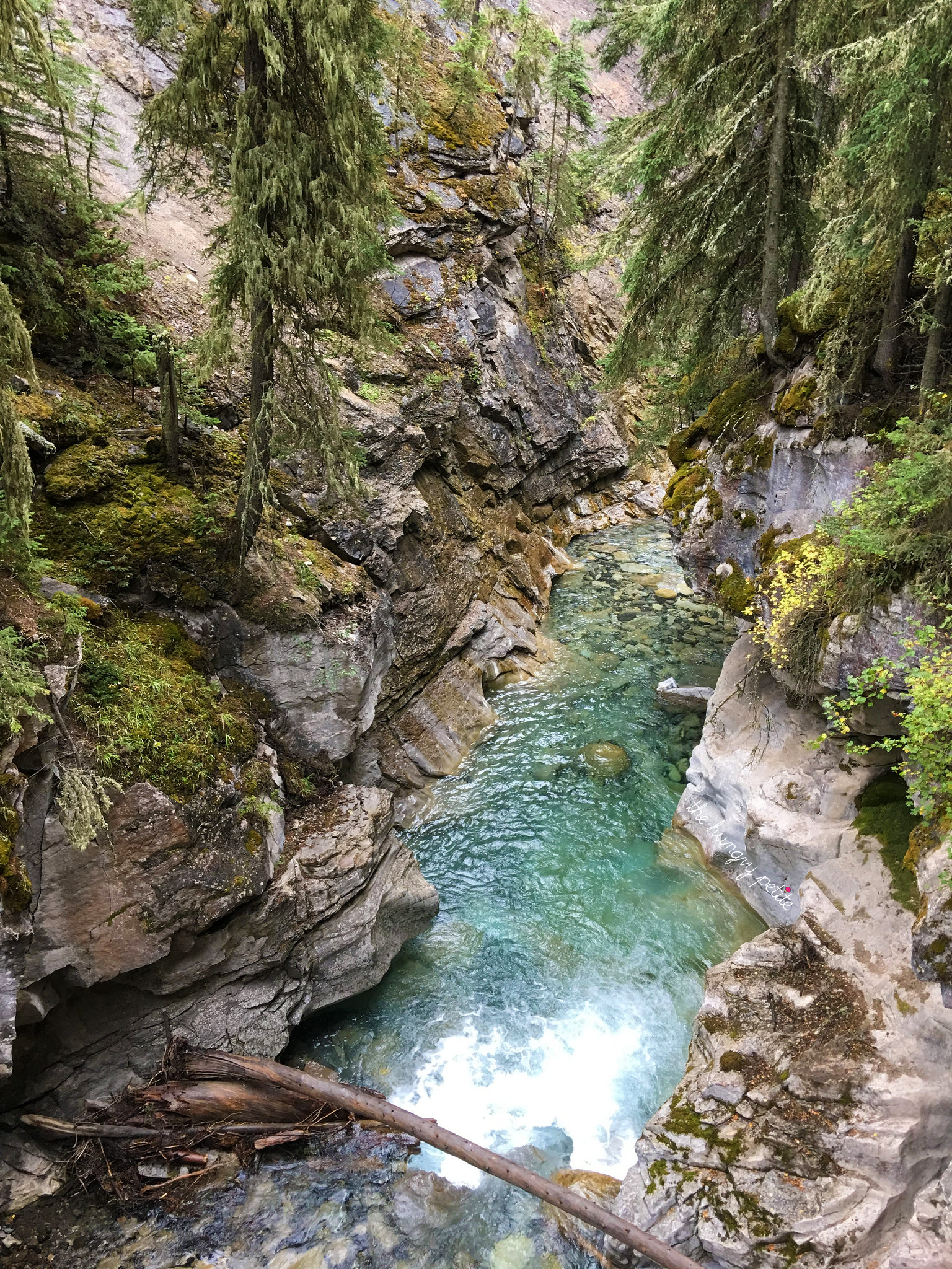 Johnston Canyon