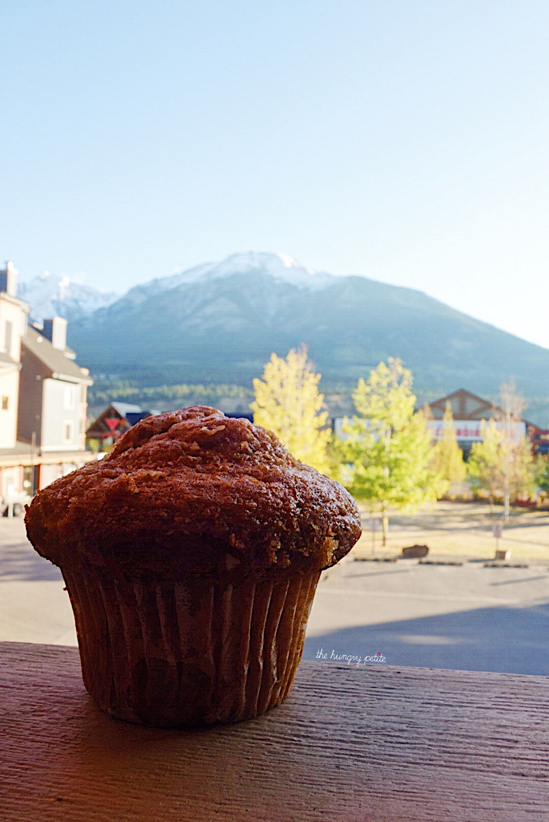 Safeway carrot muffin and our view from the VRBO rental