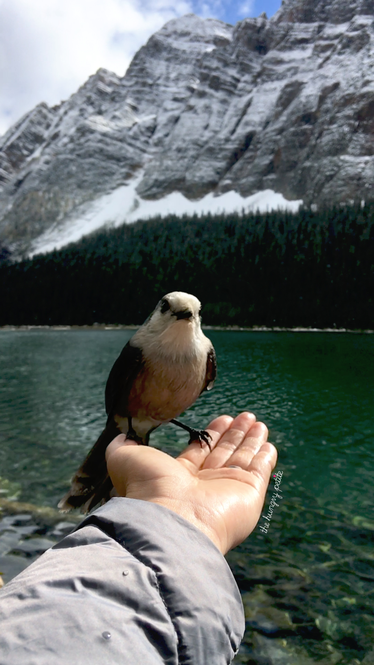 Little friend waiting for me at Book Lake