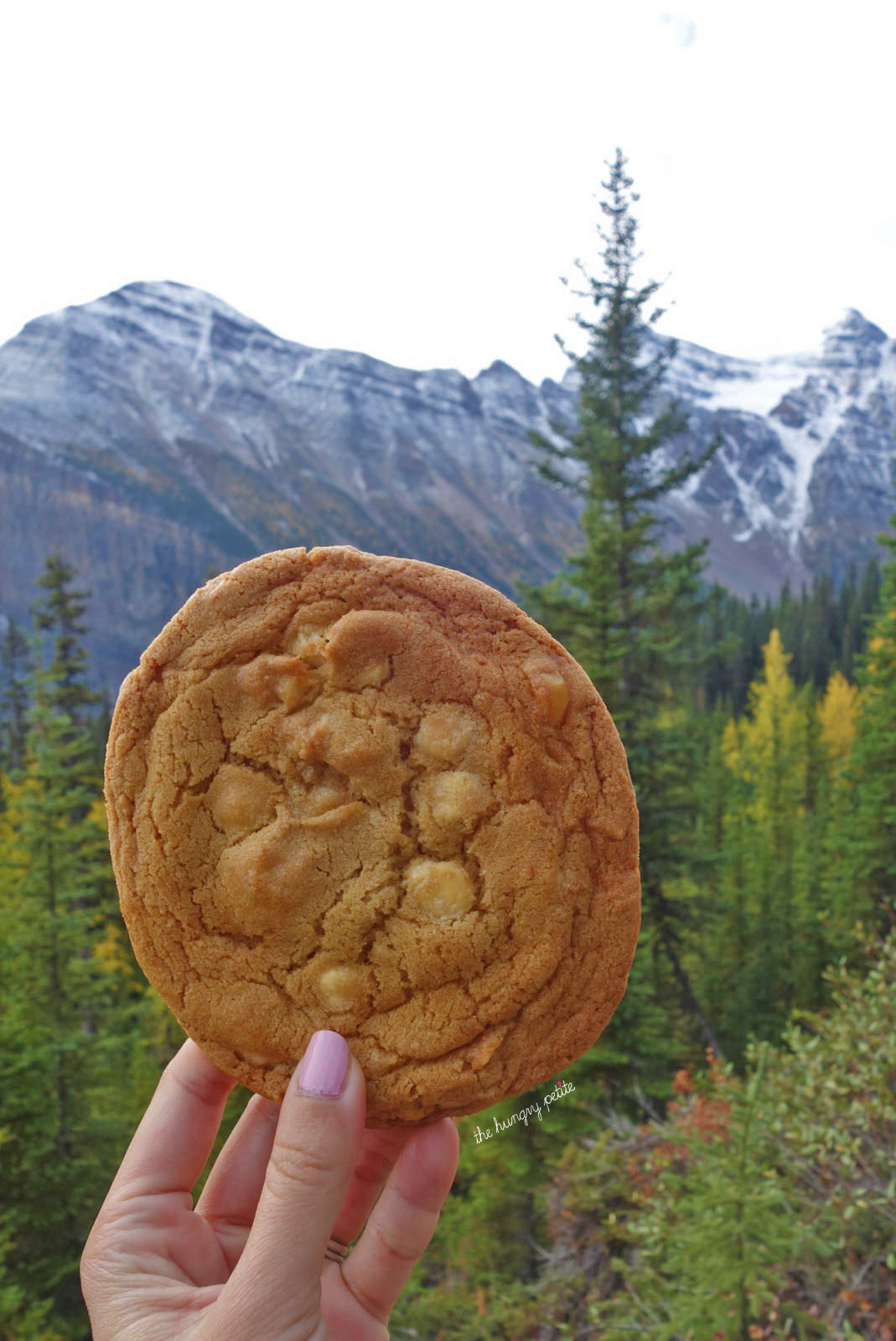 Same cookie going up the trail to Lake Agnes