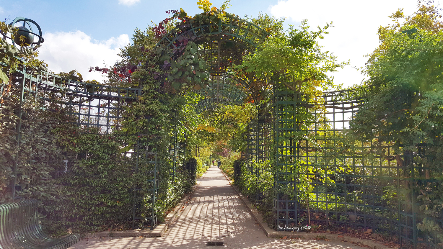 Green covered arbors along the walkway