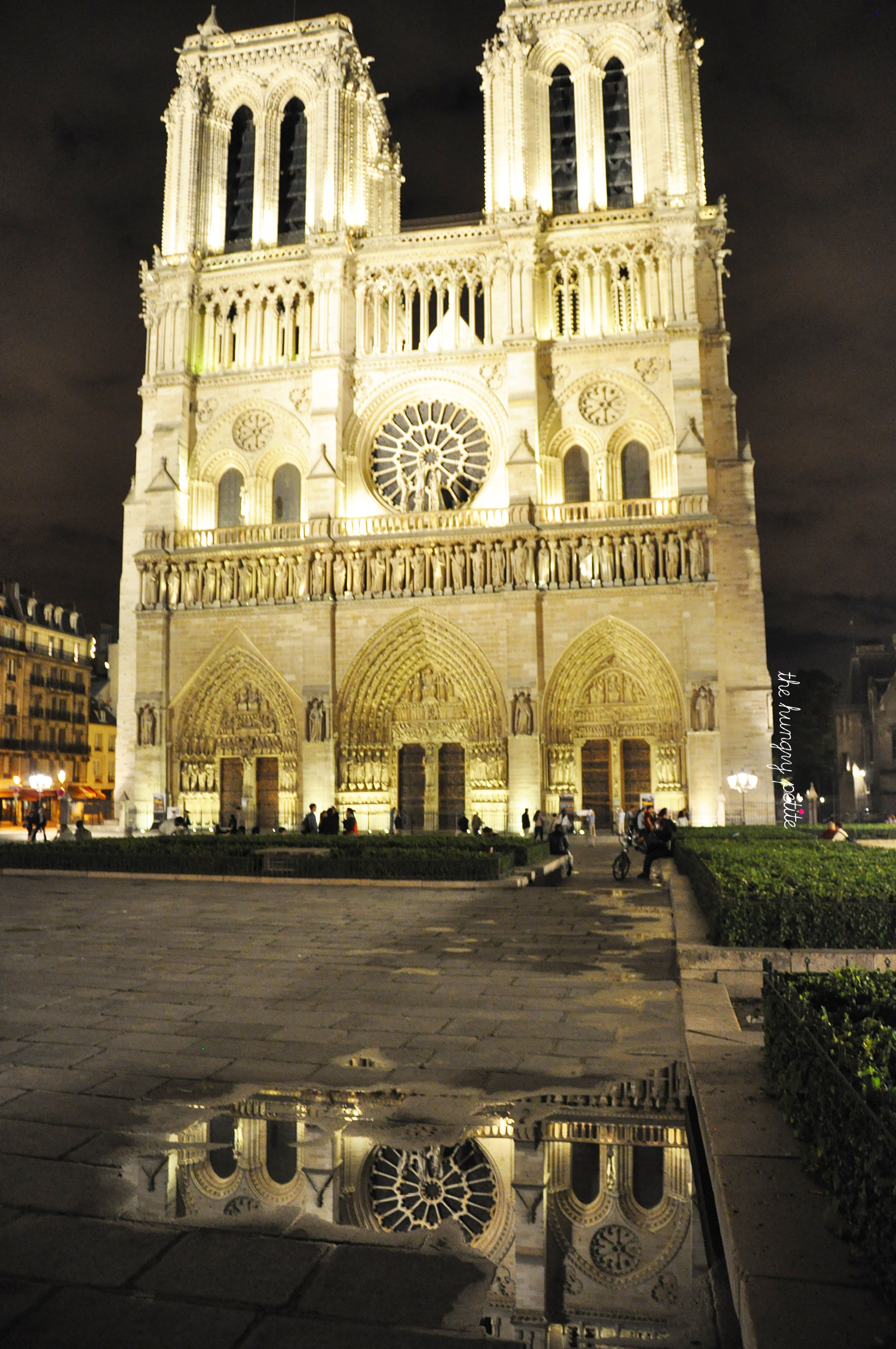 Notre Dame on a rainy night