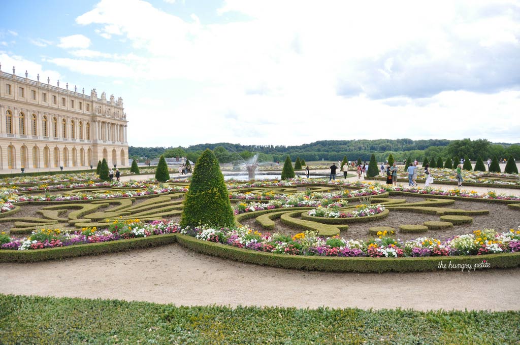 Beautiful grounds in the garden