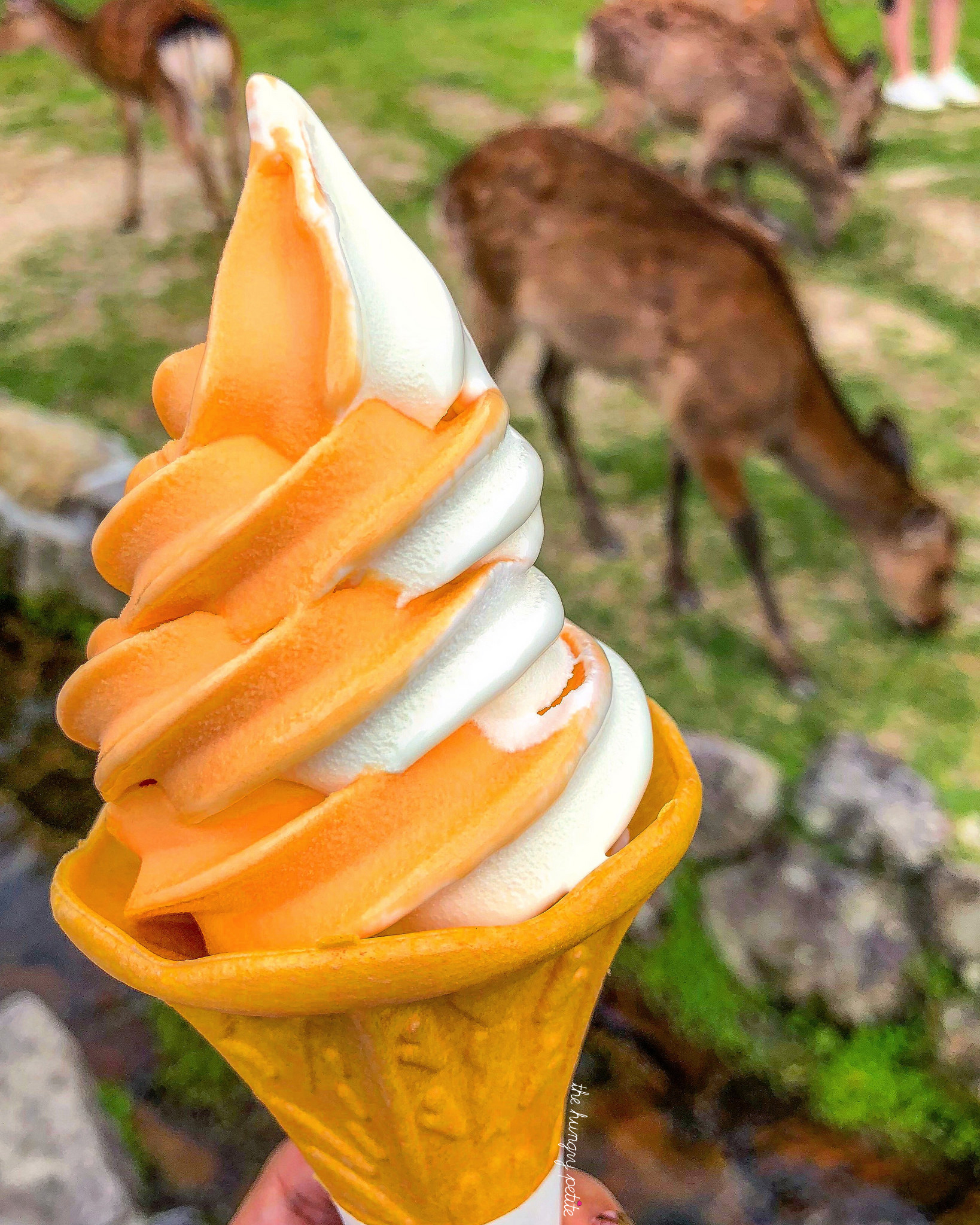 Inside Nara park, there are some scattered food trucks. This soft serve truck stood near the entrance. Flavor: Yubari Melon Twist soft serve. It tasted like cantaloupe and a second chance at life after the deer attack inside Nara Park.