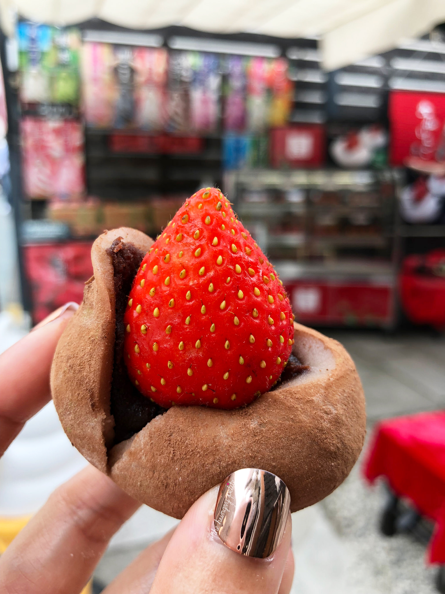 Outside of Nara, you can find several shops selling mochi. This Ichigo Daifuku (strawberry mochi) had a chocolate cream filling and was amazing.