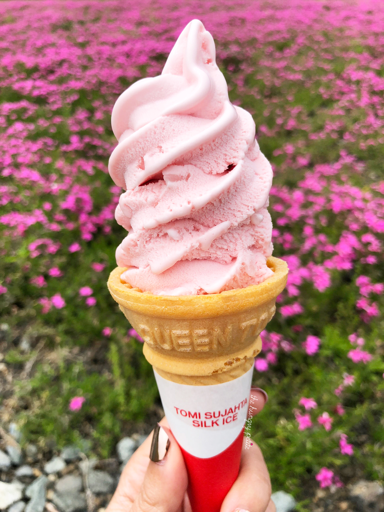 Sakura soft serve for the Shibazakura fest.