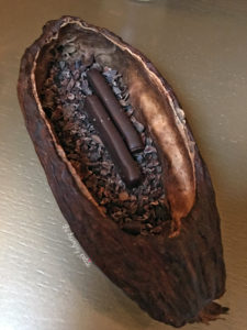 Mignardes of chocolate served in a cacao shell