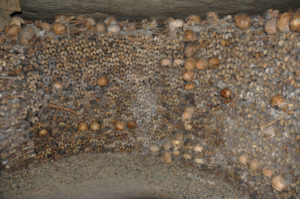 Don't try to steal any bones. It's disrespectful (and they'll check your bags as you leave).