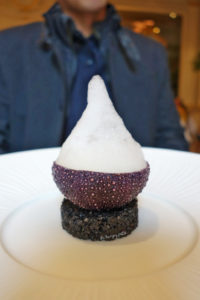 Sea urchin, cauliflower, foam