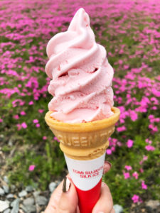 Sakura soft serve for the Shibazakura fest.